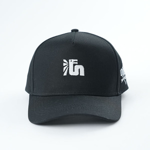 Bán buôn 5 Bảng điều chỉnh Mũ bóng chày chất liệu cotton cấu trúc Mũ bóng chày thêm logo thêu - Product Image 2