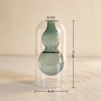Diffuseur d'huiles essentielles en verre vide, double couche, en forme de gourde, style nordique minimaliste, pour décoration intérieure