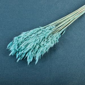 Decoración de Bodas al por Mayor, Arreglos de Flores Secas, Flores de Avena Secas Naturales Preservadas para Ramos de Flores para el Hogar, Decoración de Bodas - Product Image 4