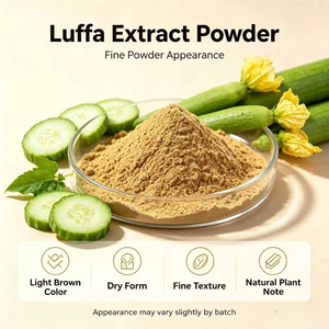 Extracto <span class=keywords><strong>de</strong></span> Luffa Dispersable en Agua <span class=keywords><strong>de</strong></span> Alta Pureza, Polvo <span class=keywords><strong>Vegetal</strong></span> Natural, Materia Prima para Bebidas Sólidas, Fórmulas Botánicas - Product Image 2