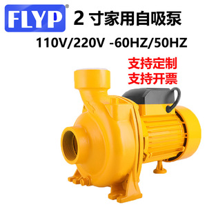 Centrifugal Self Priming Pump 2 Inch 110V 220V 380V Electric Booster Water Pump Single Phase Motor Horizontal Flange Connection - Product Image 2