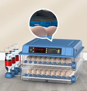 Factory Price Egg Incubator 256 Chicken Egg Hatch Machine Dual Power <strong>for</strong> Chicken Duck Pigeon Quail - Product Image 2