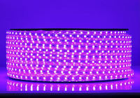Bandes lumineuses LED flexibles RGB SMD5050, ruban LED de haute qualité et très demandé, 4W/m, 5m/rouleau, 10m/rouleau, 20m/rouleau, étanche IP65
