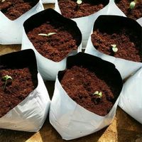 Fabriek produceert op maat gemaakte gekleurde landbouwafvalzakken van PE, dubbelzijdig waterdicht, voor gebruik in tuin en kwekerij.