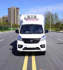 <span class=keywords><strong>Camion</strong></span> frigorifique de 3 m pouvant transporter 2 tonnes de viande congelée, poulet, légumes, poissons vivants, glaçons - Product Image 3