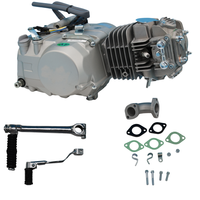 Ensemble Moteur YX140cc à Démarrage au Pied et Embrayage Manuel pour Pit Bike, Cylindre en Alliage Jeté à l'Air Refroidi par Air, Quatre Vitesses pour Moto (Échantillon)