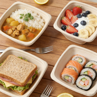 Boîte à lunch jetable en pulpe, boîte à emporter, nourriture légère, salade, soupe, nouilles, bol carré, vaisselle biodégradable, 450 ml D888