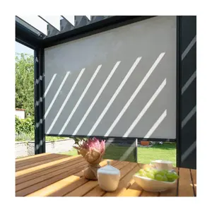 Motorized Windproof French Design Electric Ziptrack Exterior Roller Shade Heavy Duty Outdoor Roller Blinds