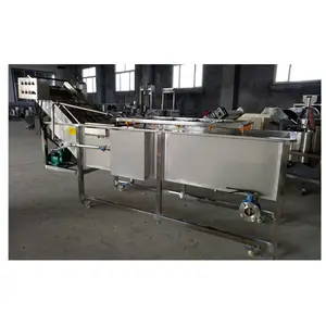 1500-2000kg/h Stainless Steel Fruit Bubble Washer Machine