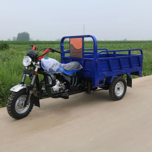 <span class=keywords><strong>Triciclo</strong></span> de Carga Motorizado a Gasolina de 3 Ruedas con Motor Refrigerado por Aire, Diseño de Motocicleta, Venta Caliente de Fábrica China, <span class=keywords><strong>Precio</strong></span> - Product Image 4