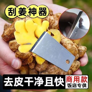 Ginger <b>Scraper</b> A1041 Stainless Steel Versatile Peeler For Garlic Potato Taro Hand Wash Only Easy To <b>Clean</b> Commercial Use - Product Image 5