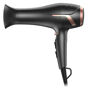 Ionic Hair Dryer Professional Powerful Hairdrye DC Motor Ionic Blow Dryer with Adjustable 2 Speed, 3 Heat Settings Hair Blower