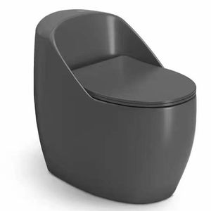 Inodoro de una Pieza Color Gris Caracol para Estilo Moderno/Europeo/Costero/Rústico/Japonés/Asiático - Product Image 1