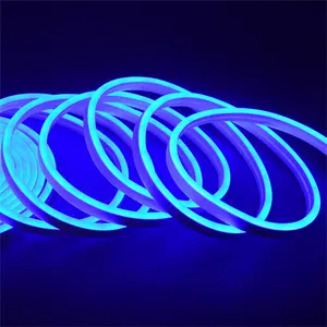 Strip Fleksibel Neon Cahaya 12V Tahan Air Luces Led Pita Tali Peredupan Flex Tabung Pita Kamar Hangat Putih Kuning Merah Hijau Biru