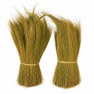 Brosse en herbe naturelle, poils moyens, écologique, durable, pour nettoyage extérieur, style basique, 10-19 pouces - Product Image 1
