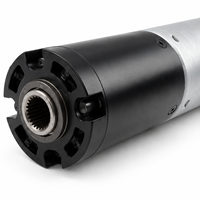 Motor DC Planetary Torsi Tinggi 24mm 864:1 12V 24V untuk Aktuator Rumah Pintar dan Otomasi