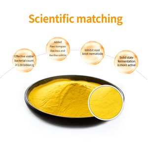 Regolatori di crescita in piante Bacillus Subtilis polvere Megaterium agenti microbici che - Product Image 3