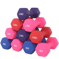 Haltères hexagonaux en néoprène avec logo personnalisé pour la musculation à domicile, support d'haltères, entraînement des hanches et du dos - Légers