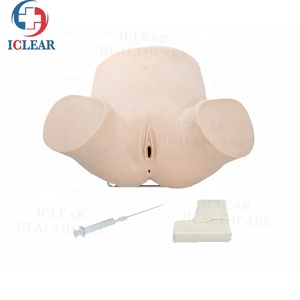 Медицинская обучающая модель вагины, модель гинекологического обследования - Product Image 6