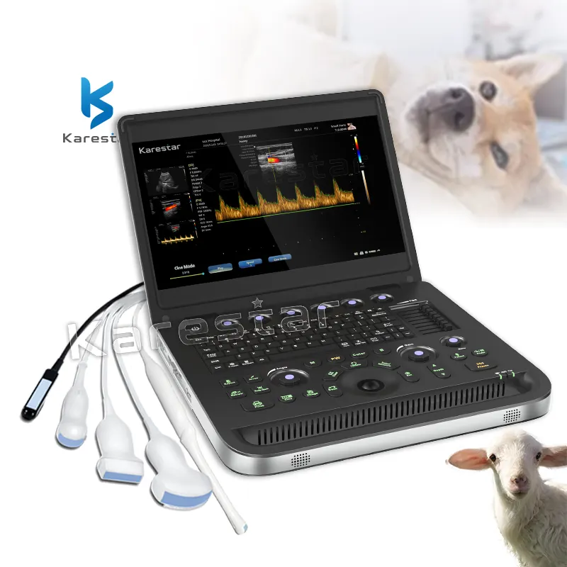 K-C101価格ポータブルエコーマシン3Dフルデジタルカラードプラー超音波獣医カレスター