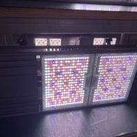 Nouvelle conception de 820W 1930e LED à spectre complet pour la croissance et la floraison en intérieur