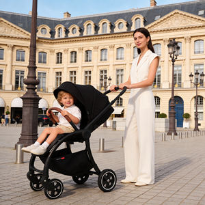Роскошная детская коляска-трансформер 3-в-1 с алюминиевой рамой, нагрузка до 20 кг, большие колеса для комфортной поездки с малышом - Product Image 1