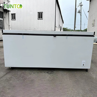 Congélateur Solaire Coffre Profond 698L/1280L Fonctionnant sur Batterie Compresseur DC 24V Intégré pour Usage Domestique Stockage de Poisson