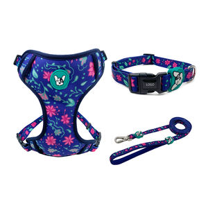 Tali Kekang Jalan Luar Ruangan, Set Tali Kekang dan Kekang Anjing untuk Anak Anjing - Product Image 2