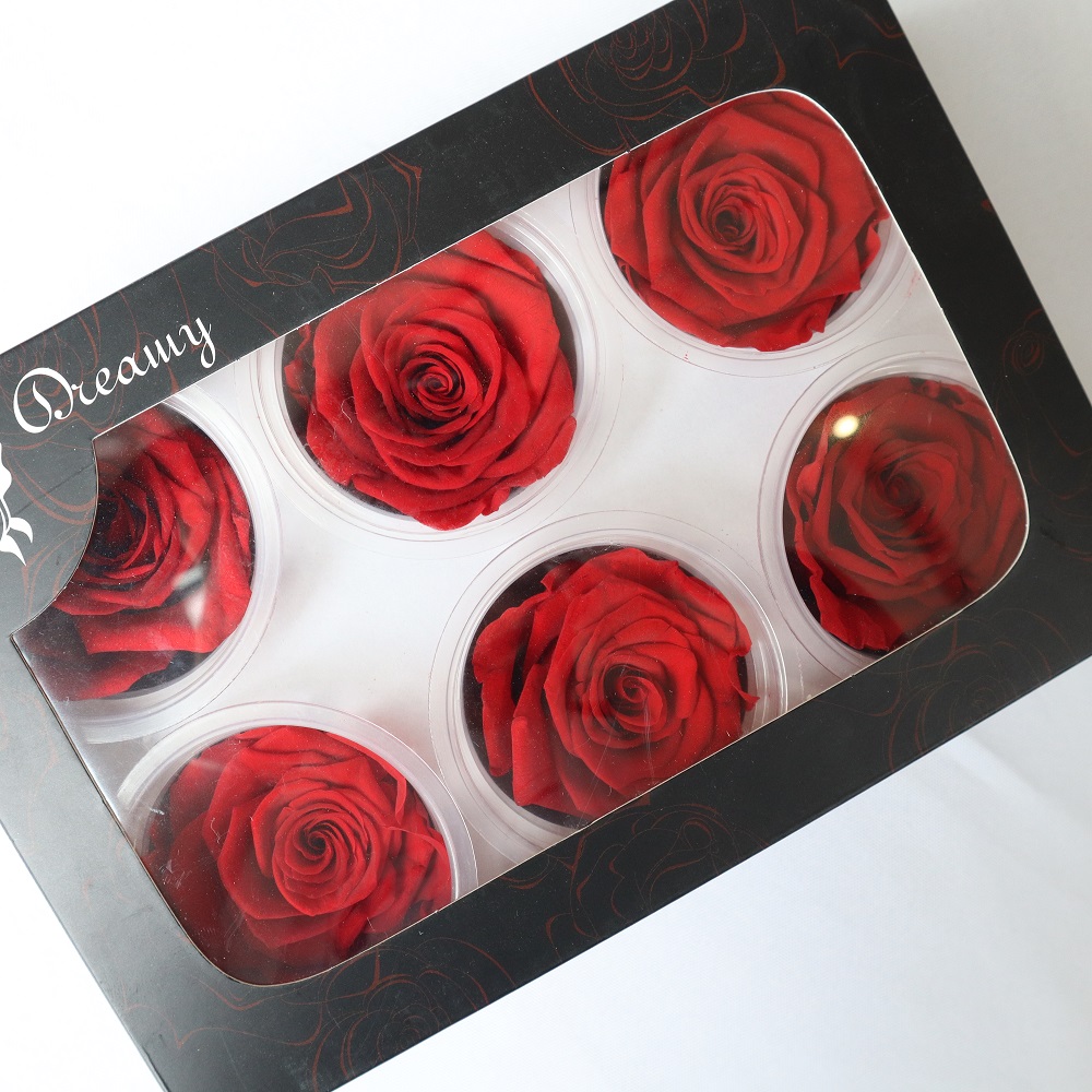 6 cabezas de rosas preservadas