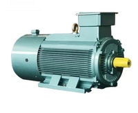 Moteurs AC du fabricant 380V 220-230V Moteur à induction triphasé Prix compétitif