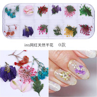 Fleurs 3D pour ongles, fleurs séchées pressées, art des ongles DIY, fleurs séchées naturelles réelles pour la décoration des ongles, manucure
