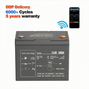 Yacht Solar 12v 100ah Phosphate Lifepo4 Lithium Ion Battery Pack - Product Image 2