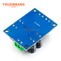 Carte d'amplificateur numérique miniature XH-M311 TPA3118 Carte d'amplificateur audio Module d'amplificateur de puissance audio Mono 60W