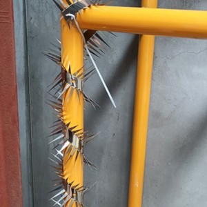 Pinchos Antirroedores de Acero Inoxidable Sólido con Púas de 3cm/5cm para Postes de Drenaje Densos en Exteriores y Protección Antirrobo - Product Image 5