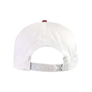 Gorras Deportivas para Hombre, Dos Tonos, Logotipo Bordado en 3D, Gorras de Béisbol de Alta Calidad, Bordado Personalizado, 5 Paneles - Product Image 4