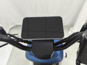Motocicleta Eléctrica Urbana de Alto Rendimiento, 800W, 48V, de Una Sola Velocidad - Product Image 4