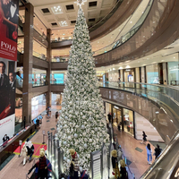 Sapin de Noël géant personnalisé 10-50m, éclairage programmable couleur pleine pour complexe hôtelier, style et choix de lumières touristiques au choix