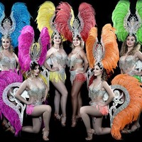 Ailes d'ange en plumes, diadème, costume pour carnaval, Halloween, fête, spectacle, chapeau, maquillage, danse, défilé