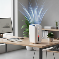 2 in 1 Dehumidifier & Humidifier Listrik Pendingin Termoelektrik Lampu LED Warna-warni Kebisingan Rendah untuk Penggunaan Rumah Tangga