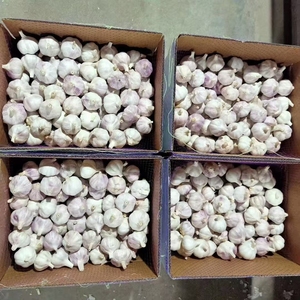 Premium <strong>Fresh</strong> <strong>Garlic</strong> From Jin Xiang County Shandong China <strong>Garlic</strong> Supplier - Product Image 1