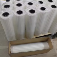 Rouleau de film de transfert DTF PET du fabricant professionnel pour imprimante à encre DTF pour l'impression par transfert de vêtements