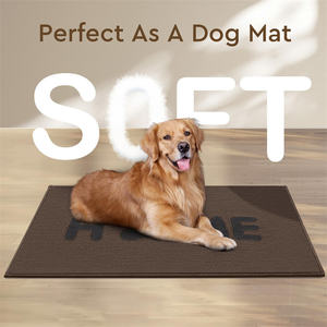 <span class=keywords><strong>Tapis</strong></span> <span class=keywords><strong>d</strong></span>'<span class=keywords><strong>entrée</strong></span> intérieur lavable antidérapant bienvenue <span class=keywords><strong>tapis</strong></span> de porte <span class=keywords><strong>d</strong></span>'<span class=keywords><strong>entrée</strong></span> <span class=keywords><strong>absorbant</strong></span> trappeur de saleté <span class=keywords><strong>tapis</strong></span> de boue pour chiens - Product Image 6