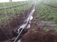 Système d'irrigation par tuyau d'arrosage, tuyau d'irrigation par pulvérisation, tuyau d'arrosage 32 mm, système d'irrigation par pulvérisation laser pour ferme