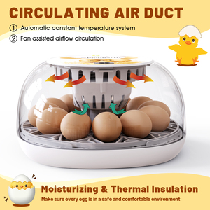 Wonegg M12 kích thước nhỏ kỹ thuật số đầy đủ tự động Gà Nở máy nhà sử dụng trứng lồng ấp - Product Image 3