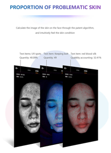 Equipo Portátil de Análisis de Piel Facial con Pantalla Grande 3D, Máquina de Cuidado Facial - Product Image 4