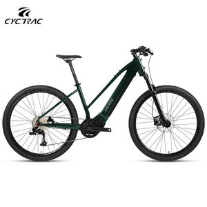 Bicicleta Eléctrica Económica para Adultos con Motor de 48V250W de Transmisión Media y 10 Velocidades, la <span class=keywords><strong>Mejor</strong></span> Oferta en Venta - Product Image 3