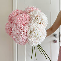216 fleurs artificielles d'hortensia en soie extra-larges à bords frisés pour événements, photographie, décoration de scène ; Arche de fleurs artificielles