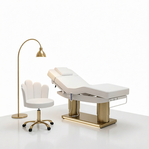 Moderna y Lujosa Camilla de Masaje Eléctrica de Acero Inoxidable con Doble Columna y 4 Motores para Salón de Belleza, con Iluminación LED - Product Image 1