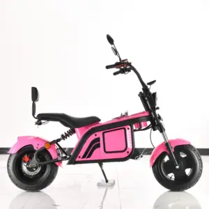 1000 Watts Eagle Electric Scooter