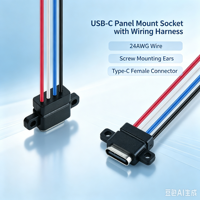 Connecteur de panneau Type-C pré-câblé LN-004, fil de couleur 24AWG à 4 broches, fixation par vis, largement utilisé pour la charge des petits appareils électroménagers